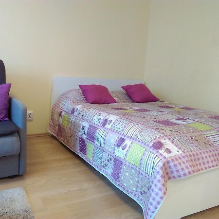 Gina'S Apartment Partizanu G Κάουνας Εξωτερικό φωτογραφία