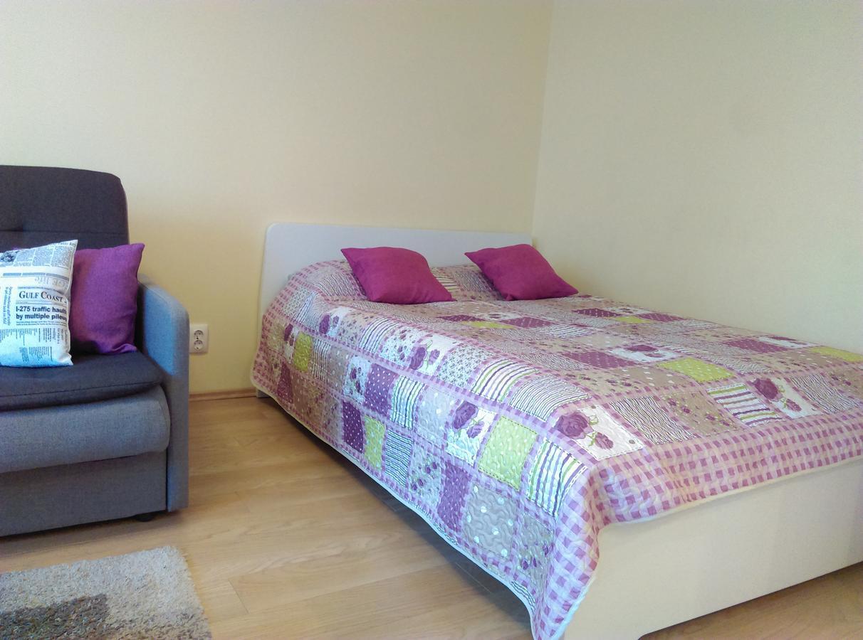 Gina'S Apartment Partizanu G Κάουνας Εξωτερικό φωτογραφία